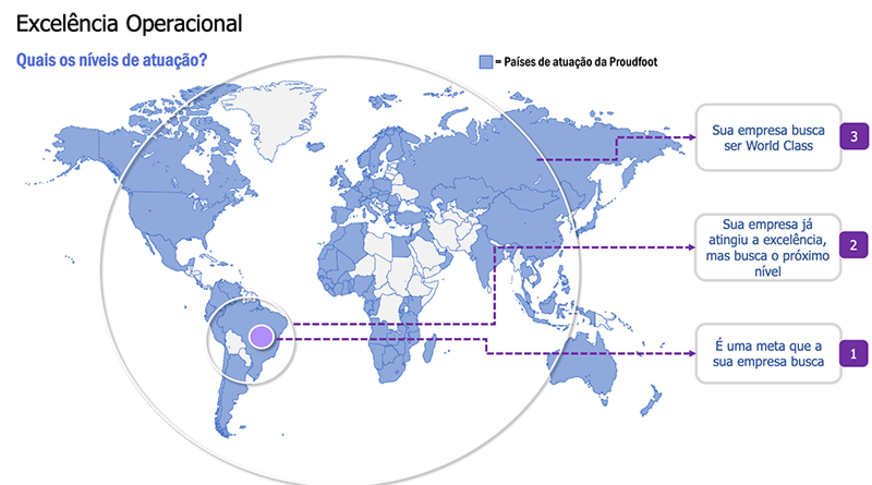 Qual é o nível de excelência operacional do seu negócio?