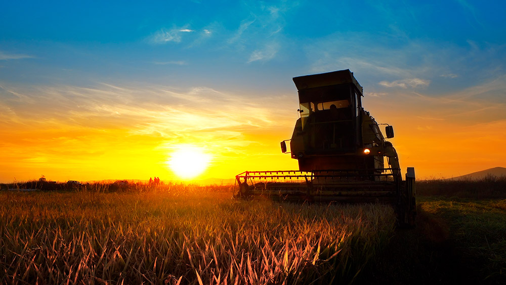Estudo de caso: como dobrar o volume de vendas, aumentando a participação da companhia no mercado
