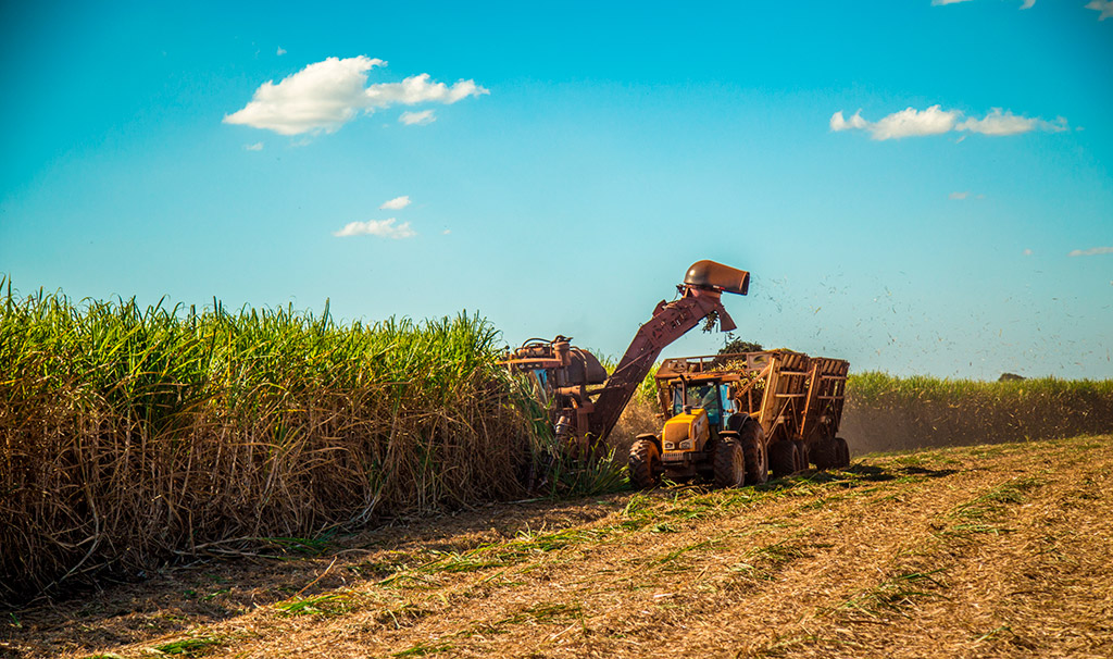 Os 5 maiores desafios para a retomada de produtividade do setor sucroenergético